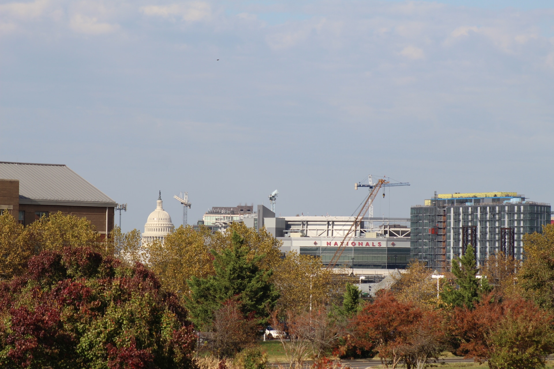 City Sky Line